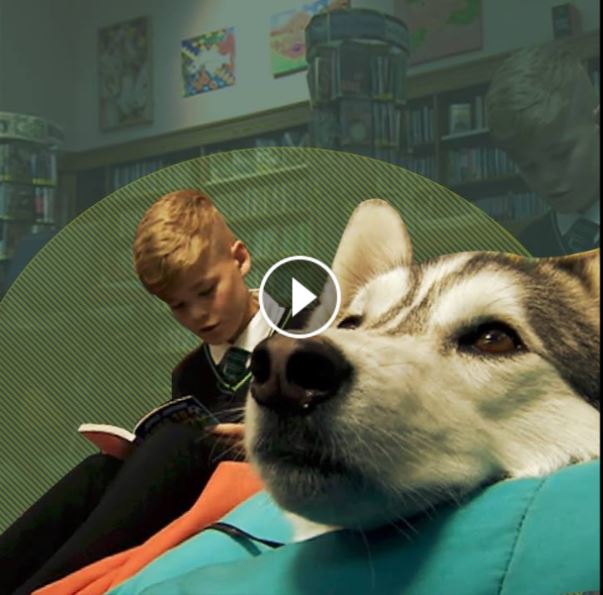 Dog that helps children who have difficulty reading out loud to an audience.